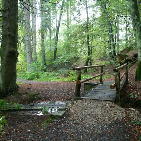 Beautiful Harz Bad Sachsa Pensión *